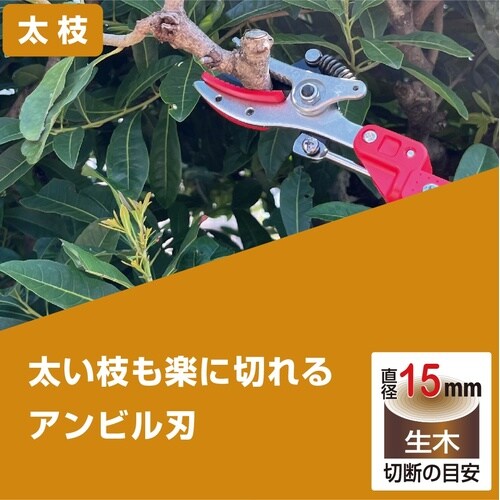 高枝Kタイプ アンビル採集