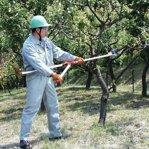 太枝切鋏タフロッパー