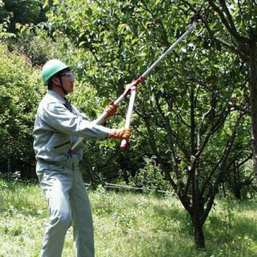 太枝切鋏タフロッパー