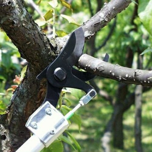 太枝切鋏タフロッパー