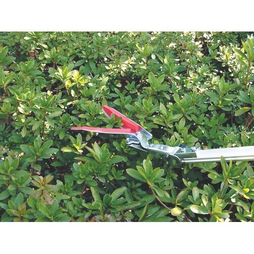 ズームチョキチルトR 刈込型