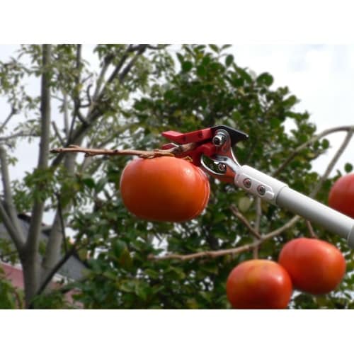 軽量高枝ライトチョキズーム