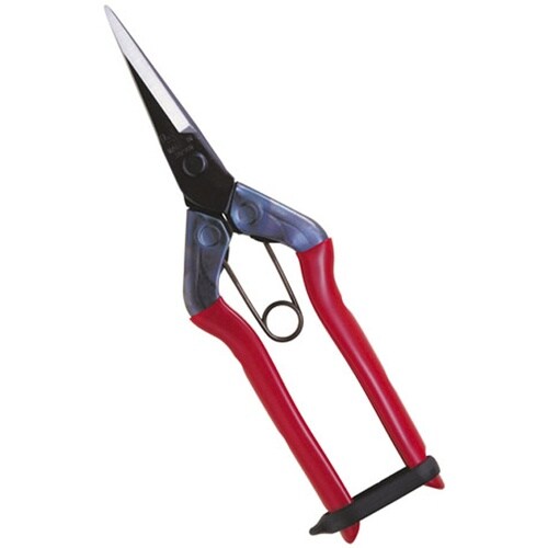 T−550 芽切鋏 尖直刃 BP