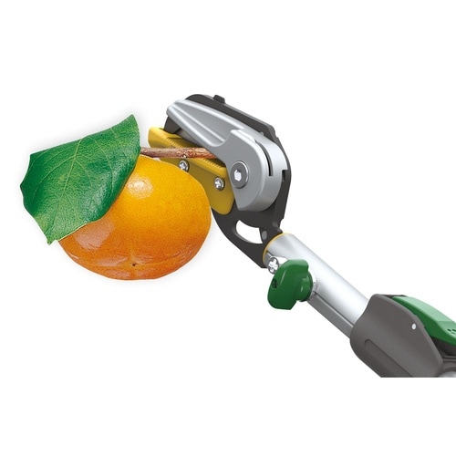 高枝切り鋏アンビル刃