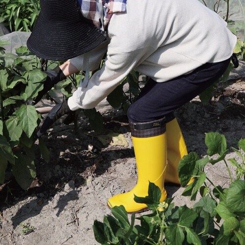 農林女子長靴ロング