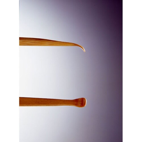 煤竹耳かき(ケース付き)