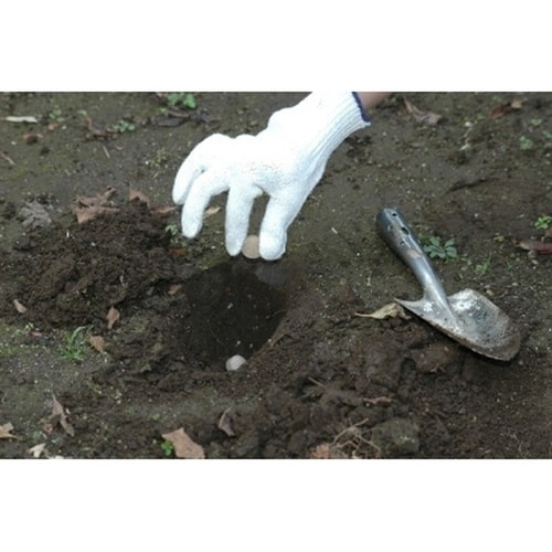 モグラクリン 300g