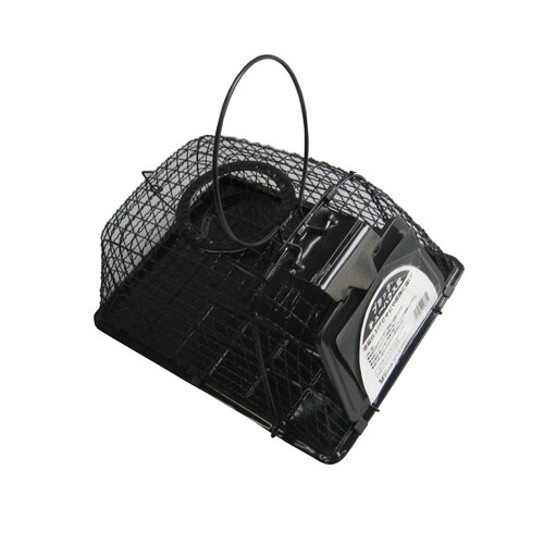 コンパル ブラック チューハウス型