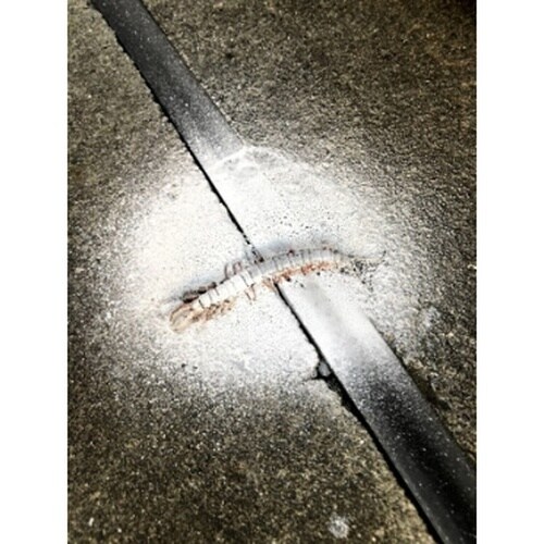 ムカデパウダージェット 480ml