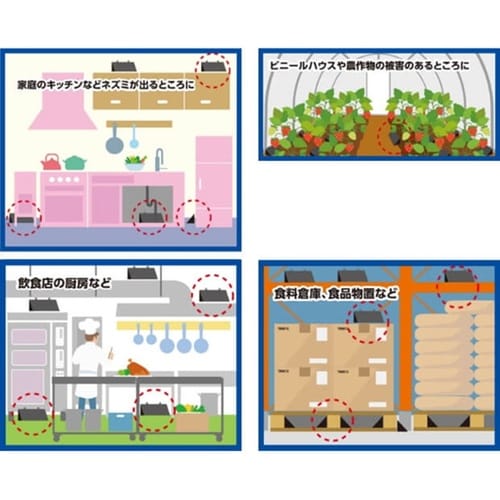 チュークリンブラックメガハウス 2枚入