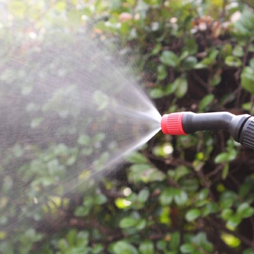 殺虫消毒スプレー