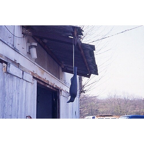 ミツギロン EG−18 コワガラス