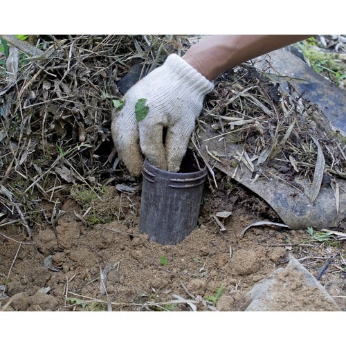 ミツギロン EG−65 モグ落下