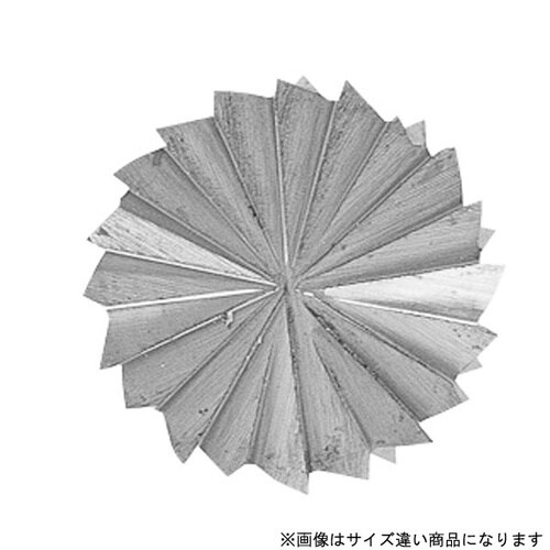 SB1C09ES 超硬バーシャンク径6ミリ