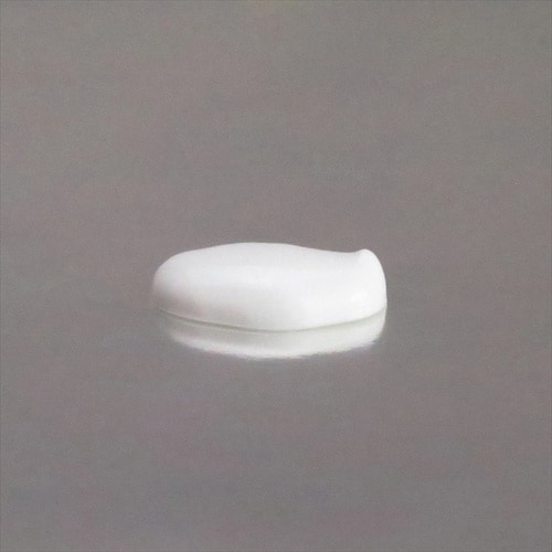 セ)木工用605 500g AE−196