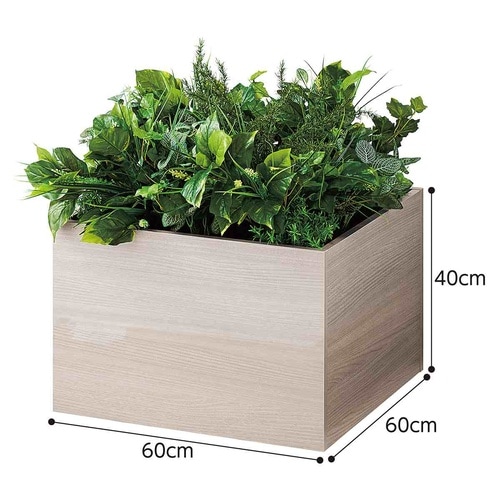 プラントボックス