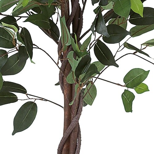 人工樹木 ベンジャミン