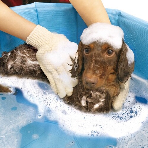 もこ泡 シャンプー手ぶくろ