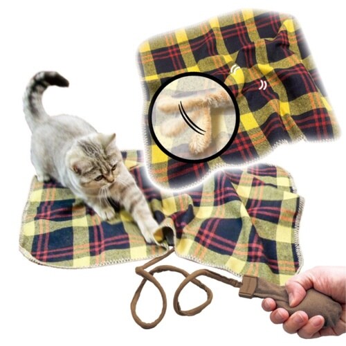 じゃれ猫 にぎにぎ猫の熱狂遊び しっぽ