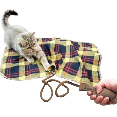 じゃれ猫 にぎにぎ猫の熱狂遊び おてて