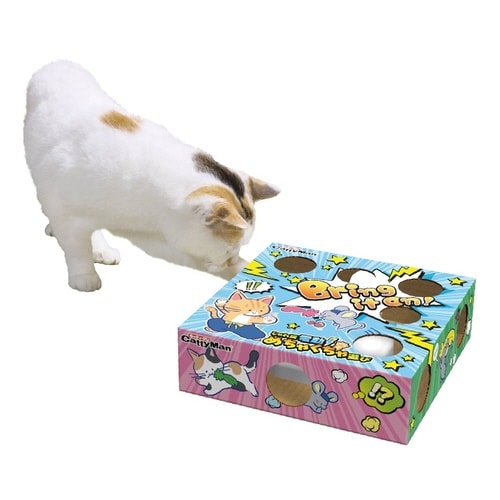 じゃれ猫 電動めちゃくちゃ遊び