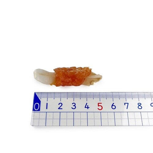 納得素材 ささみ包み軟骨