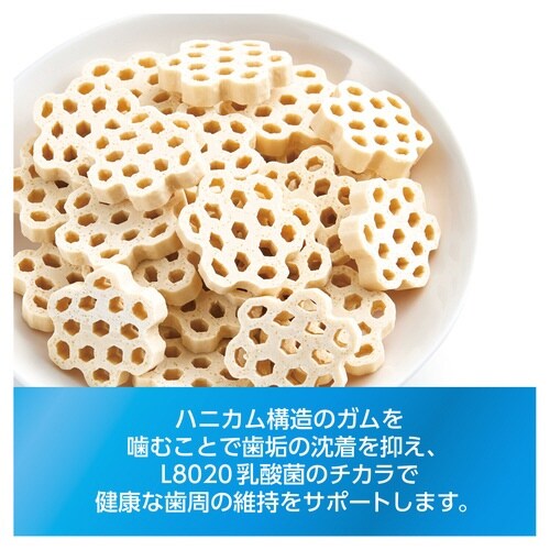 ゴン太の歯磨き専用ガム L8020乳酸菌