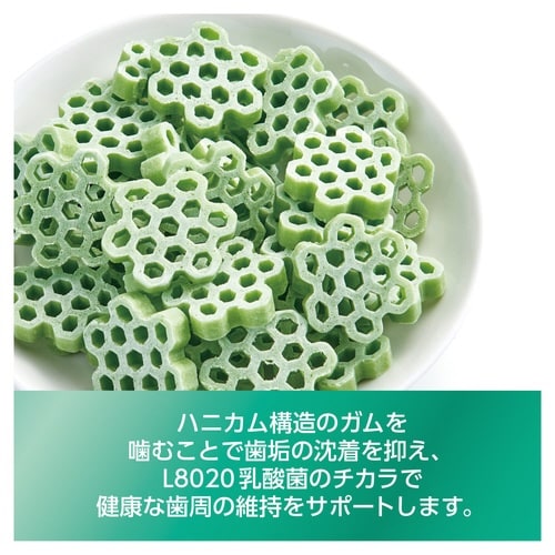 ゴン太の歯磨き専用ガム L8020乳酸菌