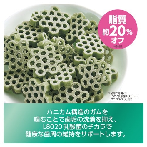 ゴン太の歯磨き専用ガム L8020乳酸菌