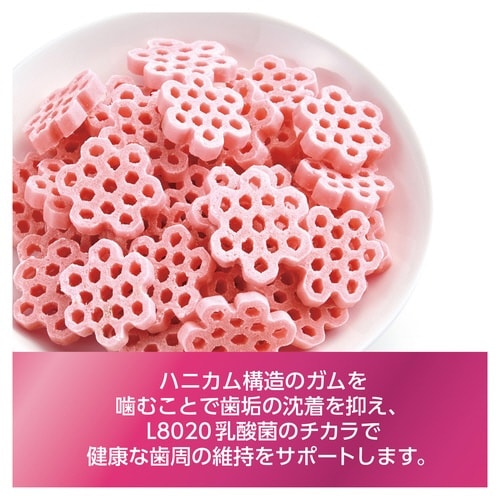 ゴン太の歯磨き専用ガム L8020乳酸菌