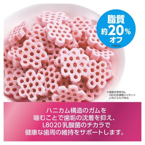 ゴン太の歯磨き専用ガム L8020乳酸菌