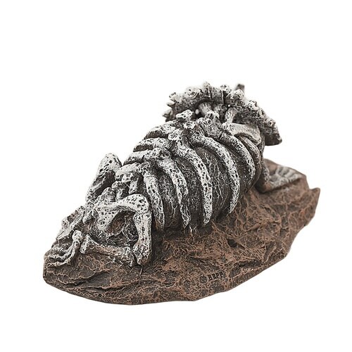 aquaneru アクアリウムオーナメン