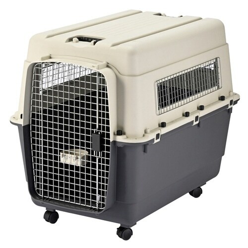 inuneru クレート