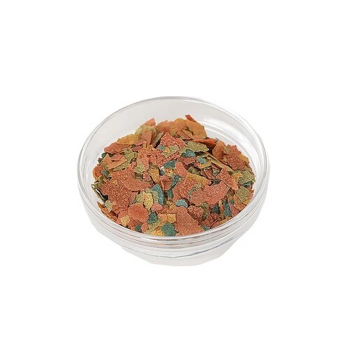 aquaneru 熱帯魚の食事