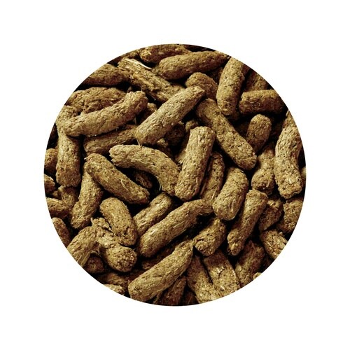 うさぎの毎日14種 緑黄色野菜 ハイシニ