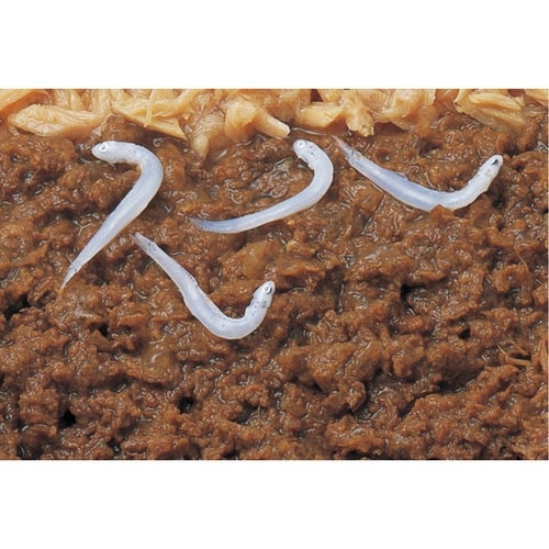 マルウオ白身のせパウチ まぐろ白身のせし