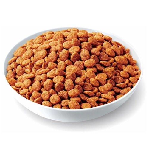 いなば すごい乳酸菌クランキーカテキンプ