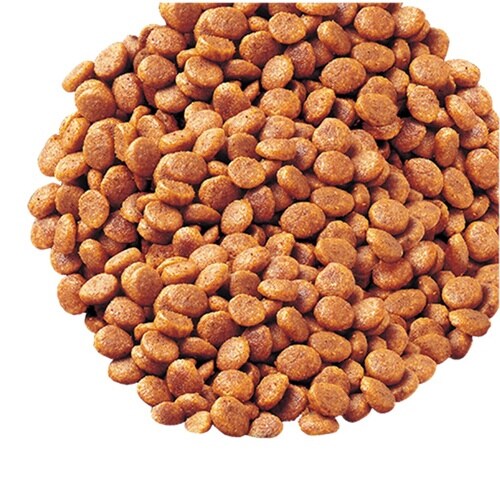 CIAO 腎臓ケアクランキー かつお節入