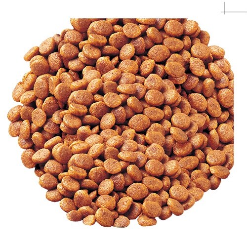 CIAO 腎臓ケアクランキー まぐろ味