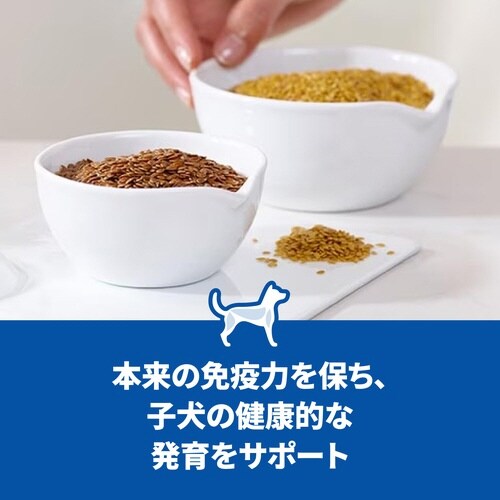 サイエンス・ダイエット小型犬用パピー 子