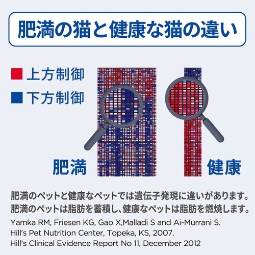 サイエンス・ダイエット猫用減量サポートチ