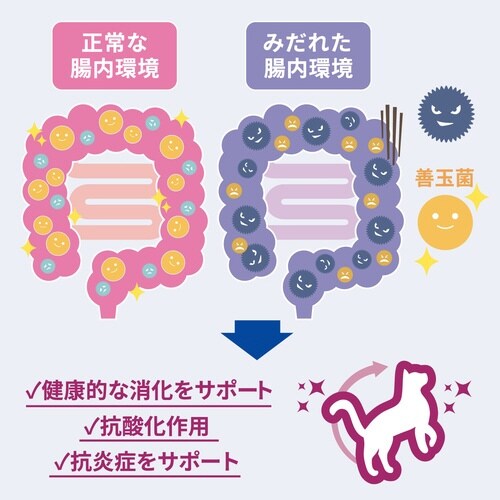 サイエンス・ダイエット猫用腸の健康サポー