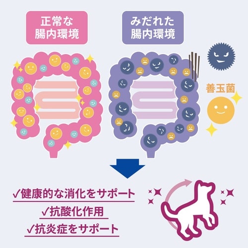 サイエンス・ダイエット腸の健康サポートプ