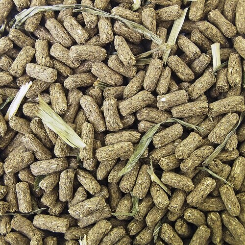 バニーテイスト ロップイヤー専用 500