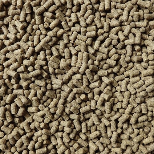 PRO RICH TASTE ハムスター