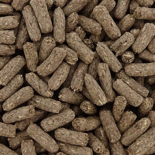 バニーテイスト メンテナンス