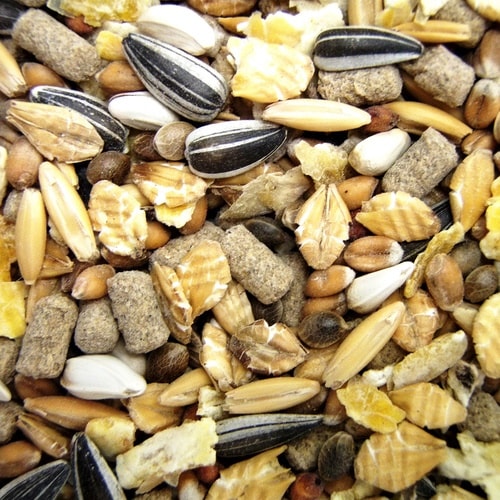 ハーティーハムスター・リス×2