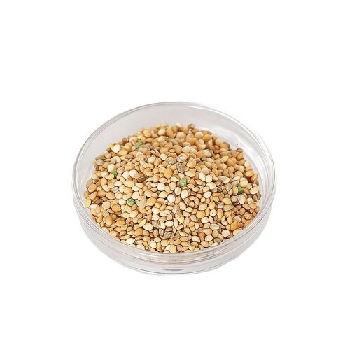 petitneru 小鳥のグルメランチ皮