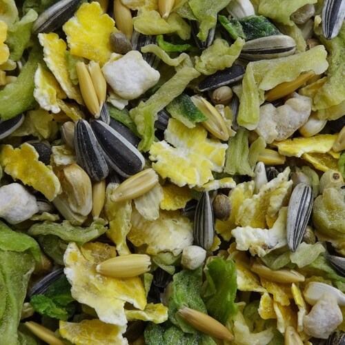 ハーティー ジャンガリアンミックス