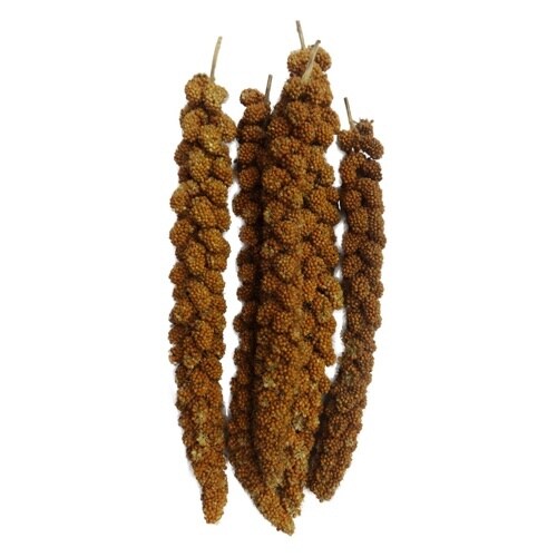 エクセル 赤粟の穂 130g